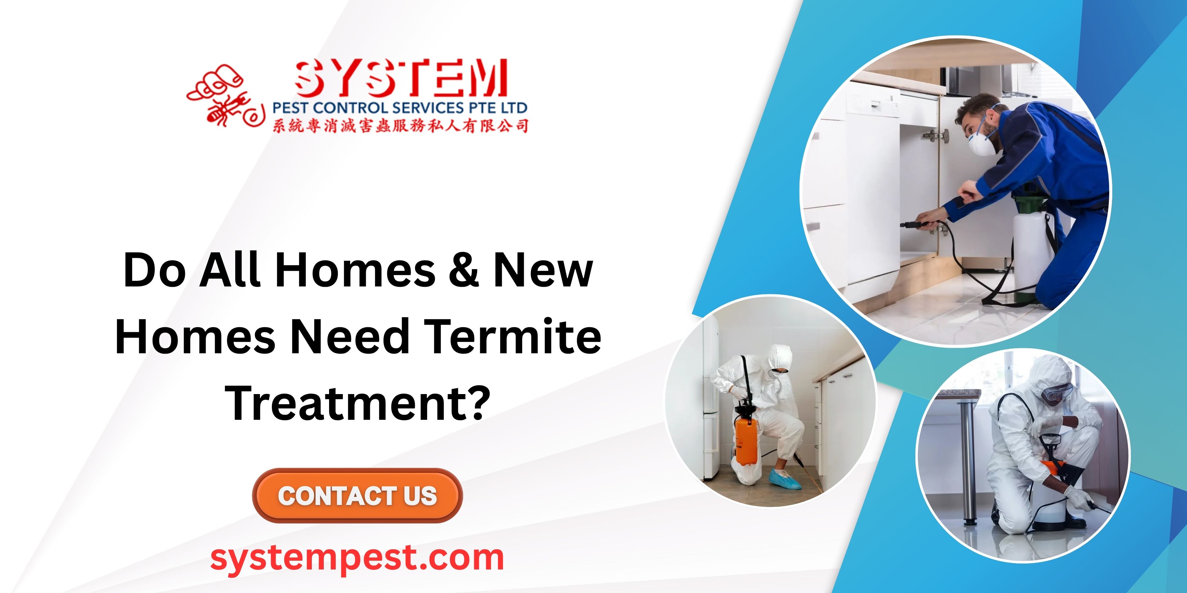 Do All Homes & New Homes Need Termite Treatment?
